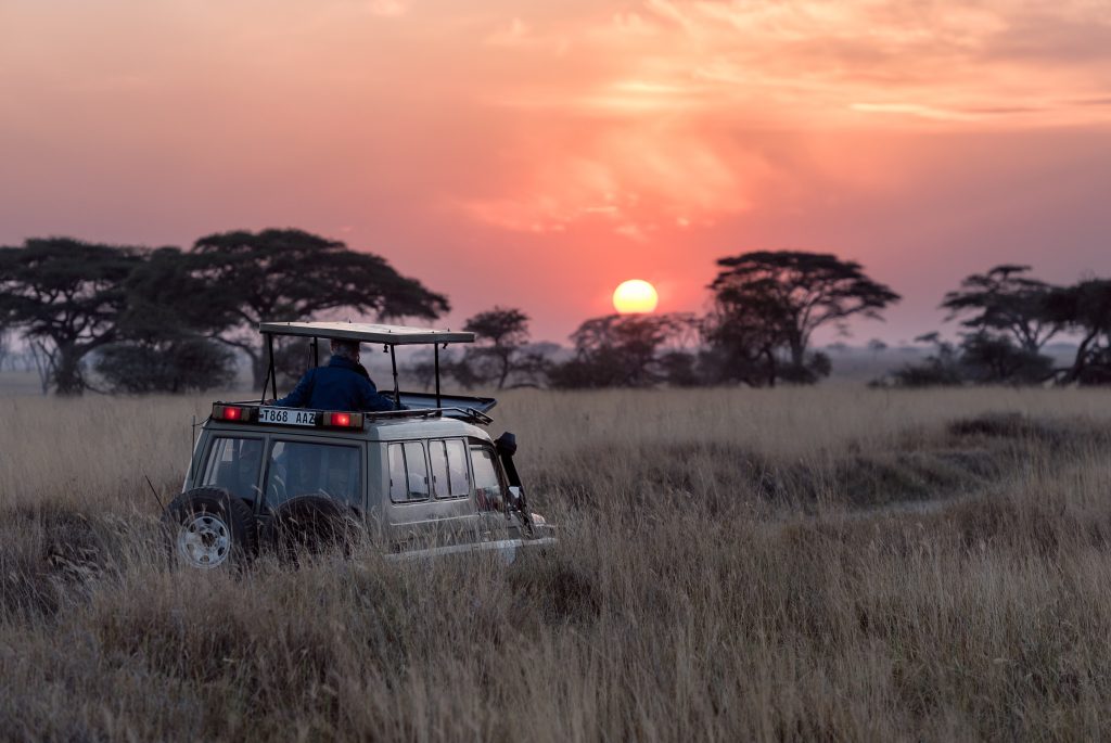 Výprava na Safari